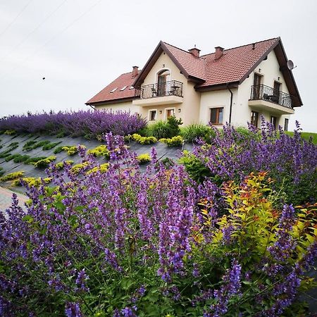 Apartamenty, Zielone Wzgorze Wiktora W Mikolajkach Mikołajki Bagian luar foto