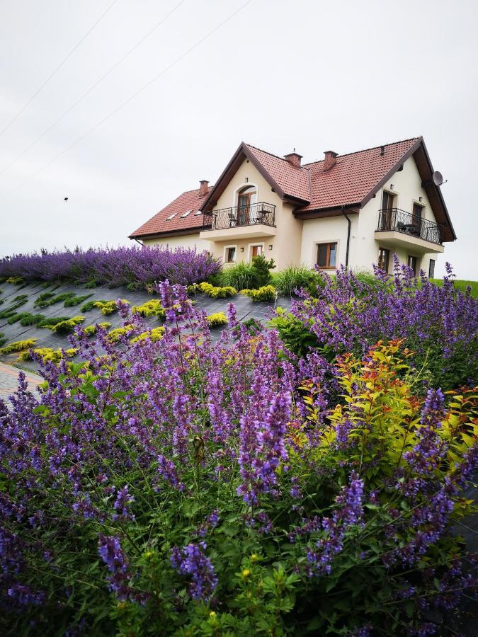 Apartamenty, Zielone Wzgorze Wiktora W Mikolajkach Mikołajki Bagian luar foto