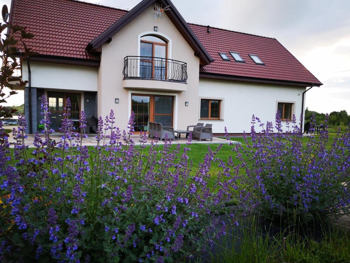 Apartamenty, Zielone Wzgorze Wiktora W Mikolajkach Mikołajki Bagian luar foto