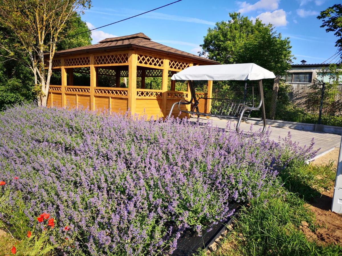 Apartamenty, Zielone Wzgorze Wiktora W Mikolajkach Mikołajki Bagian luar foto